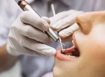 Odontológia